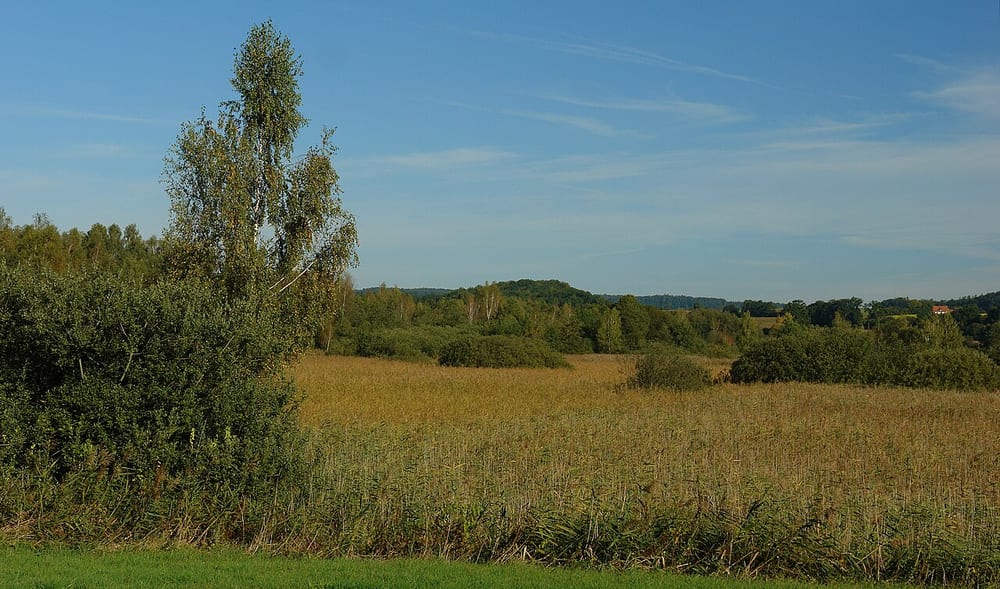 Altshauser Weiher