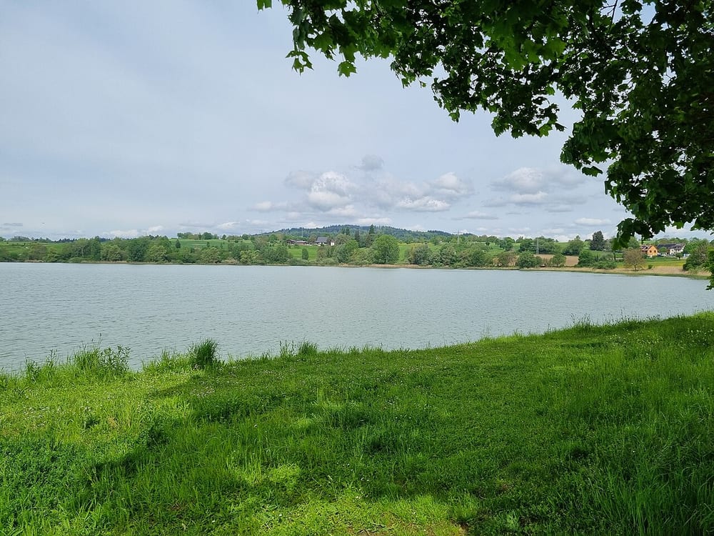 Andelshofer Weiher