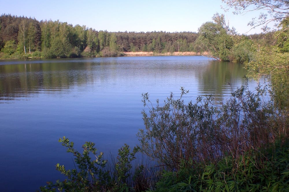 Birkensee