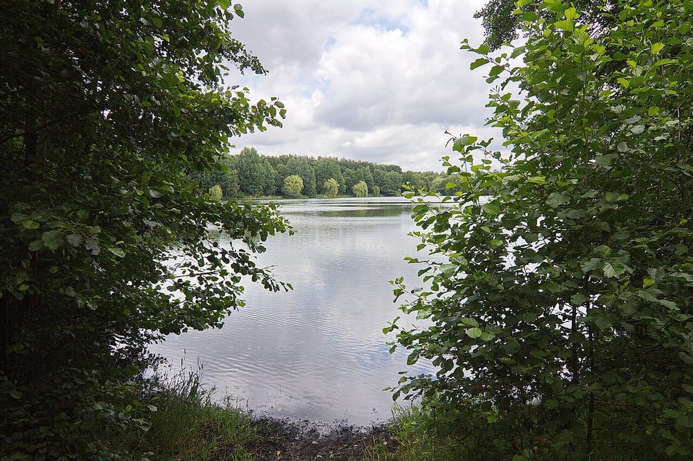 Bordenauer See