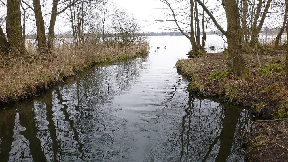 Bornhöveder See