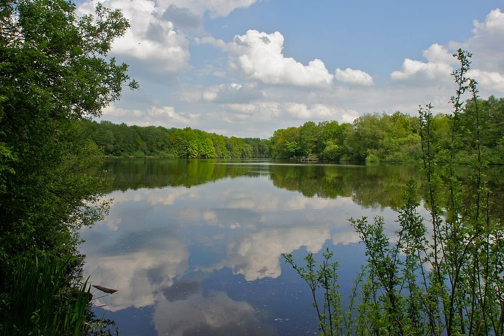 Bramfelder See