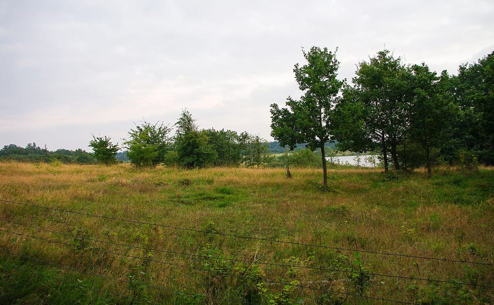 Bültsee