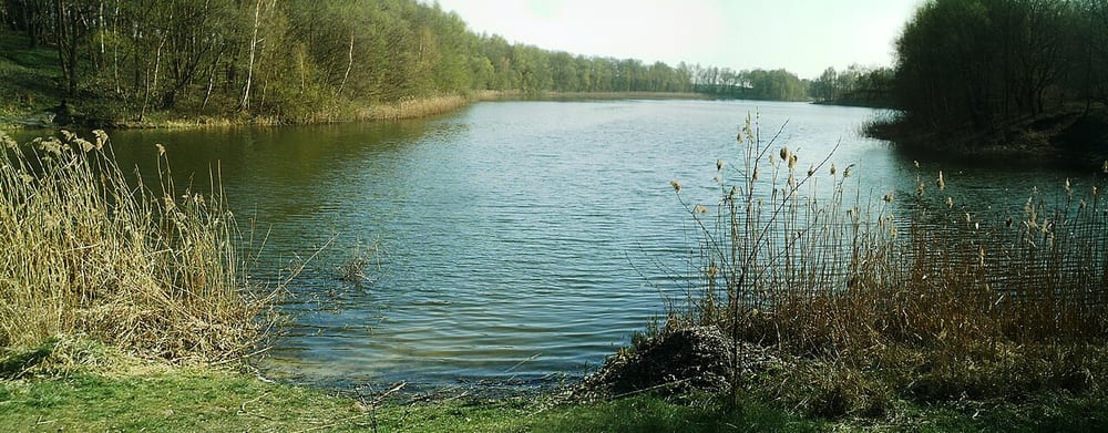Demenzsee