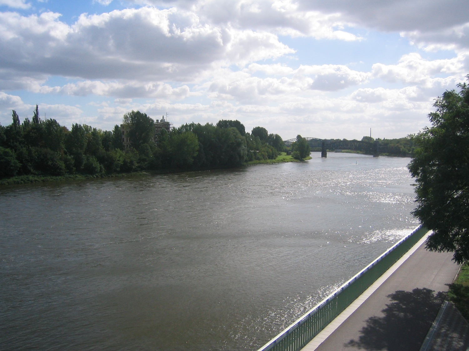 Elbe bei Magdeburg