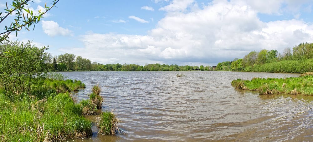 Elkenrother Weiher