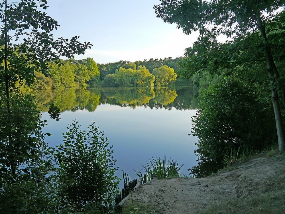 Fechenheimer Weiher
