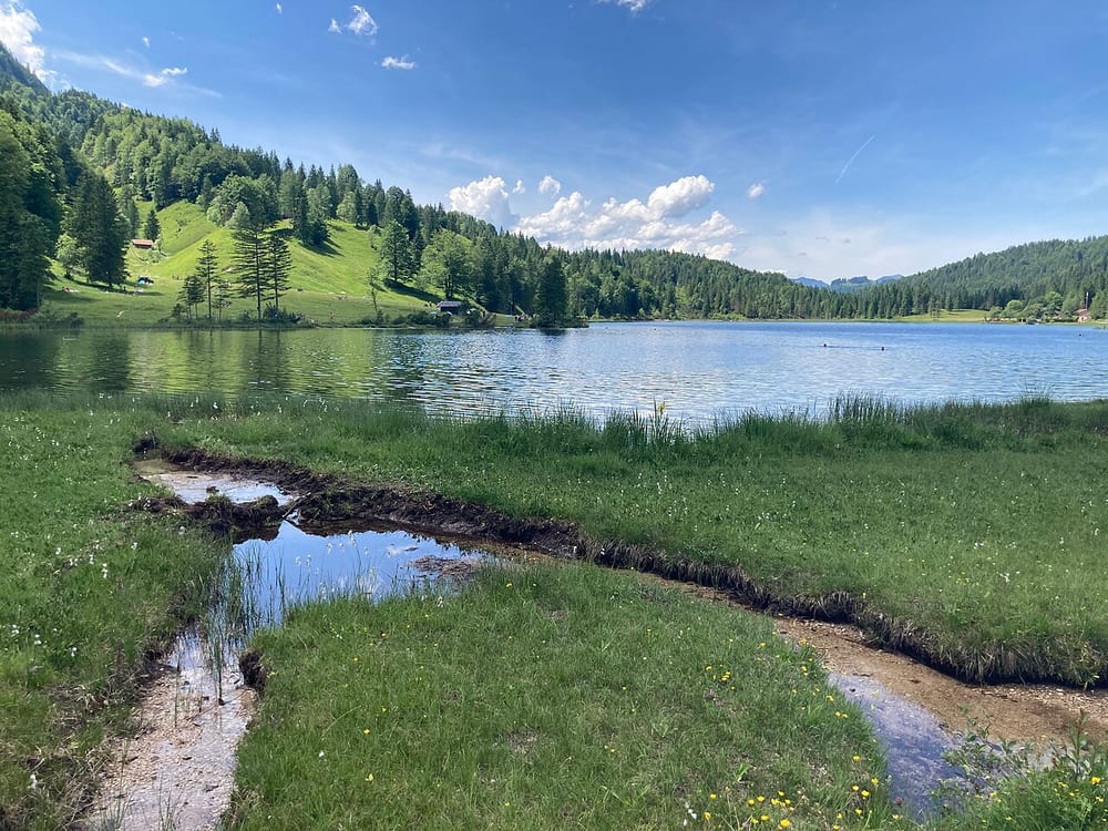 Ferchensee