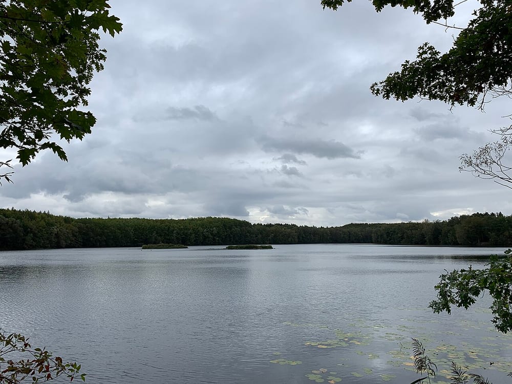Franziskussee