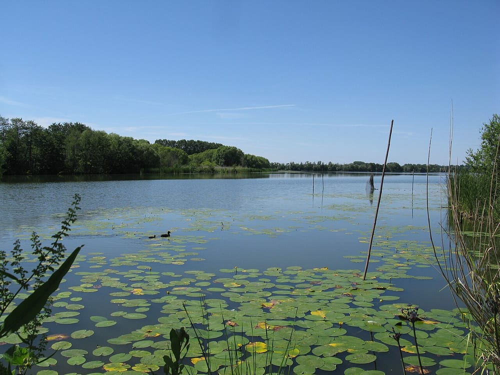 Göttinsee