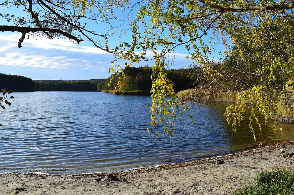 Großer Lienewitzsee
