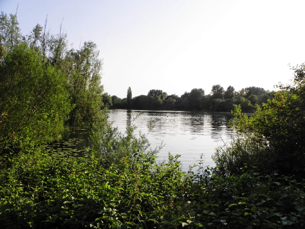 Großer Ricklinger Teich