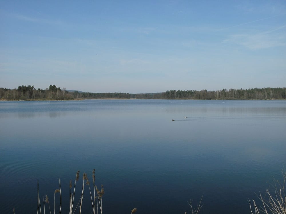 Großer Rußweiher