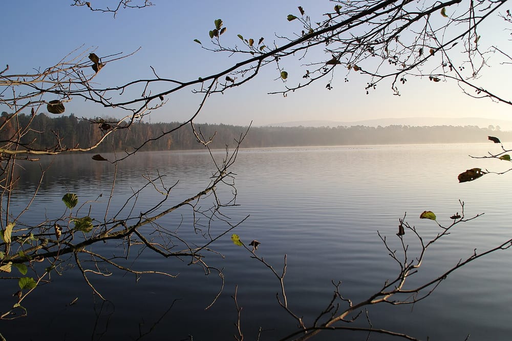 Hörsteiner See