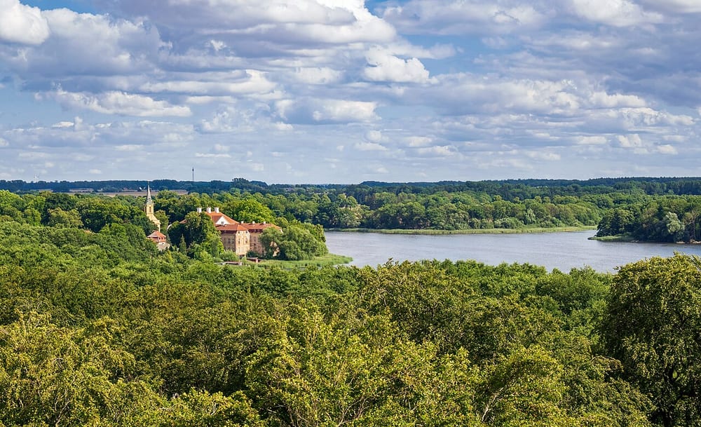 Ivenacker See