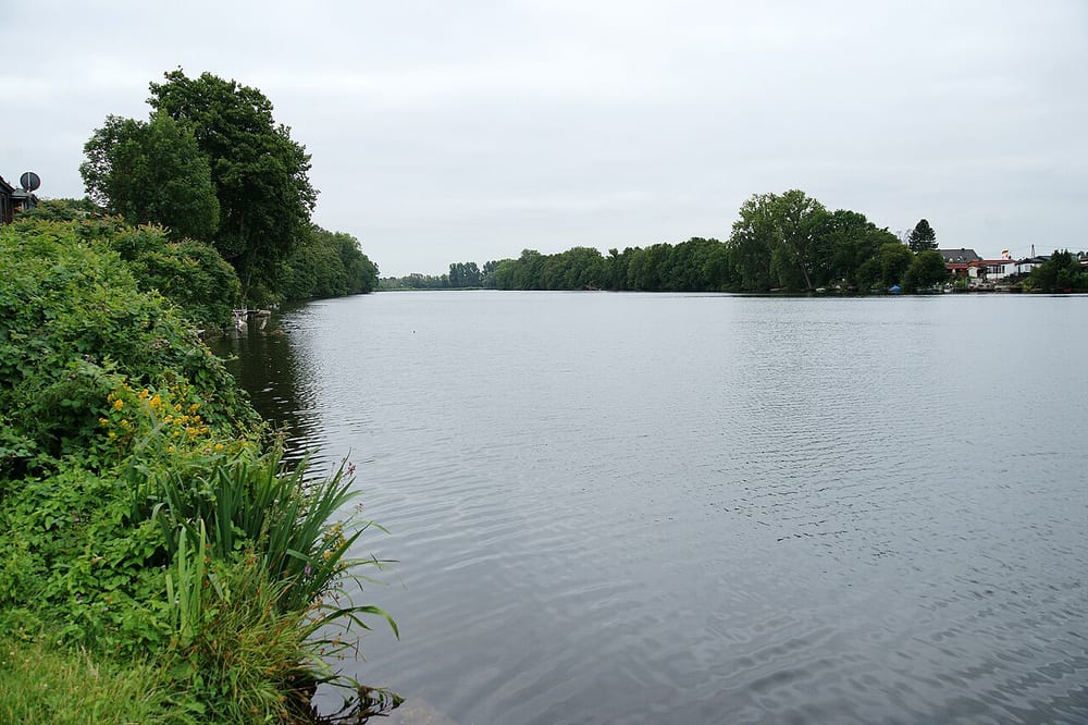 Lange Renne