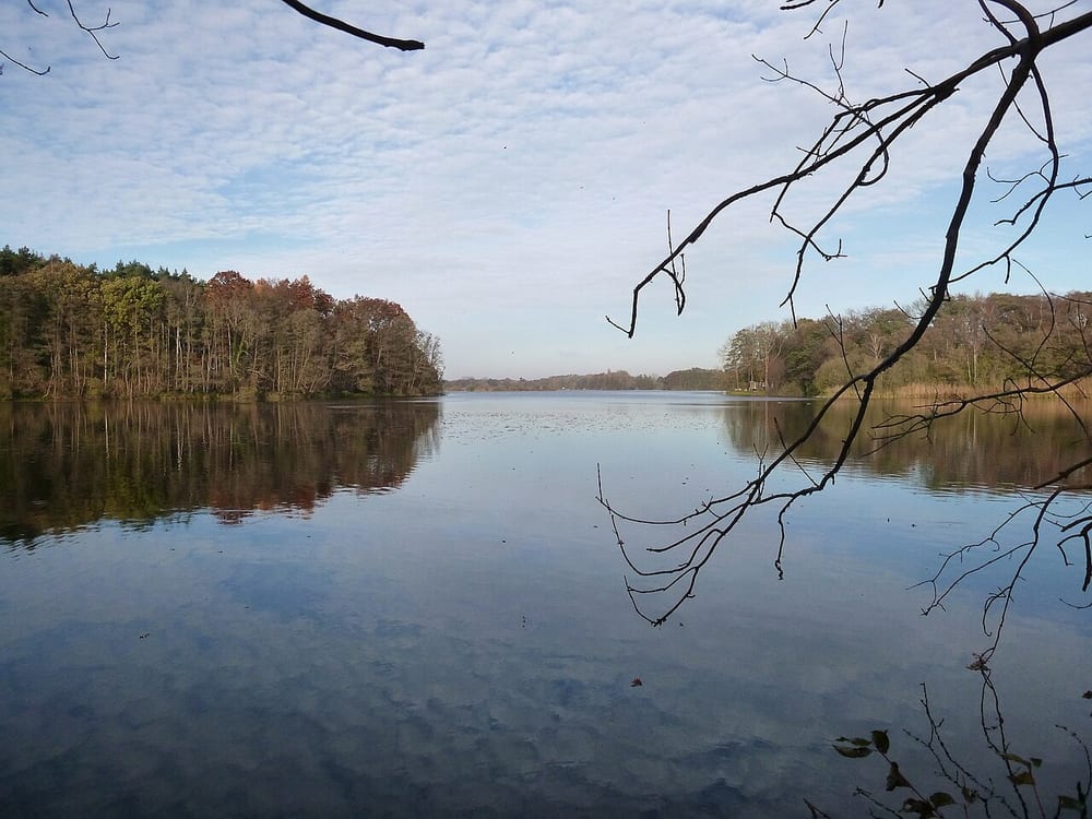Langensee