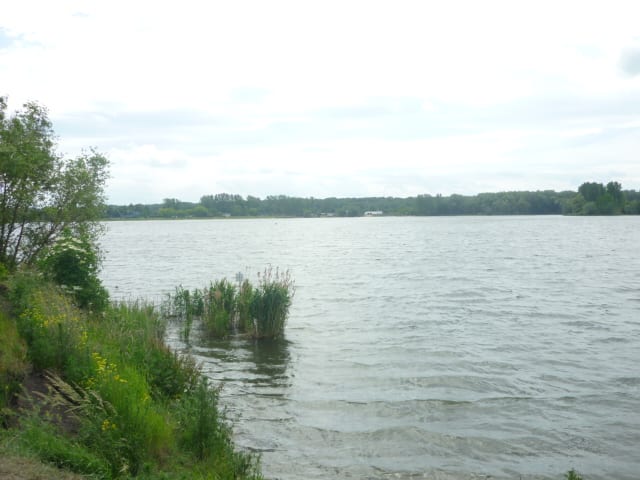 Löderburger See