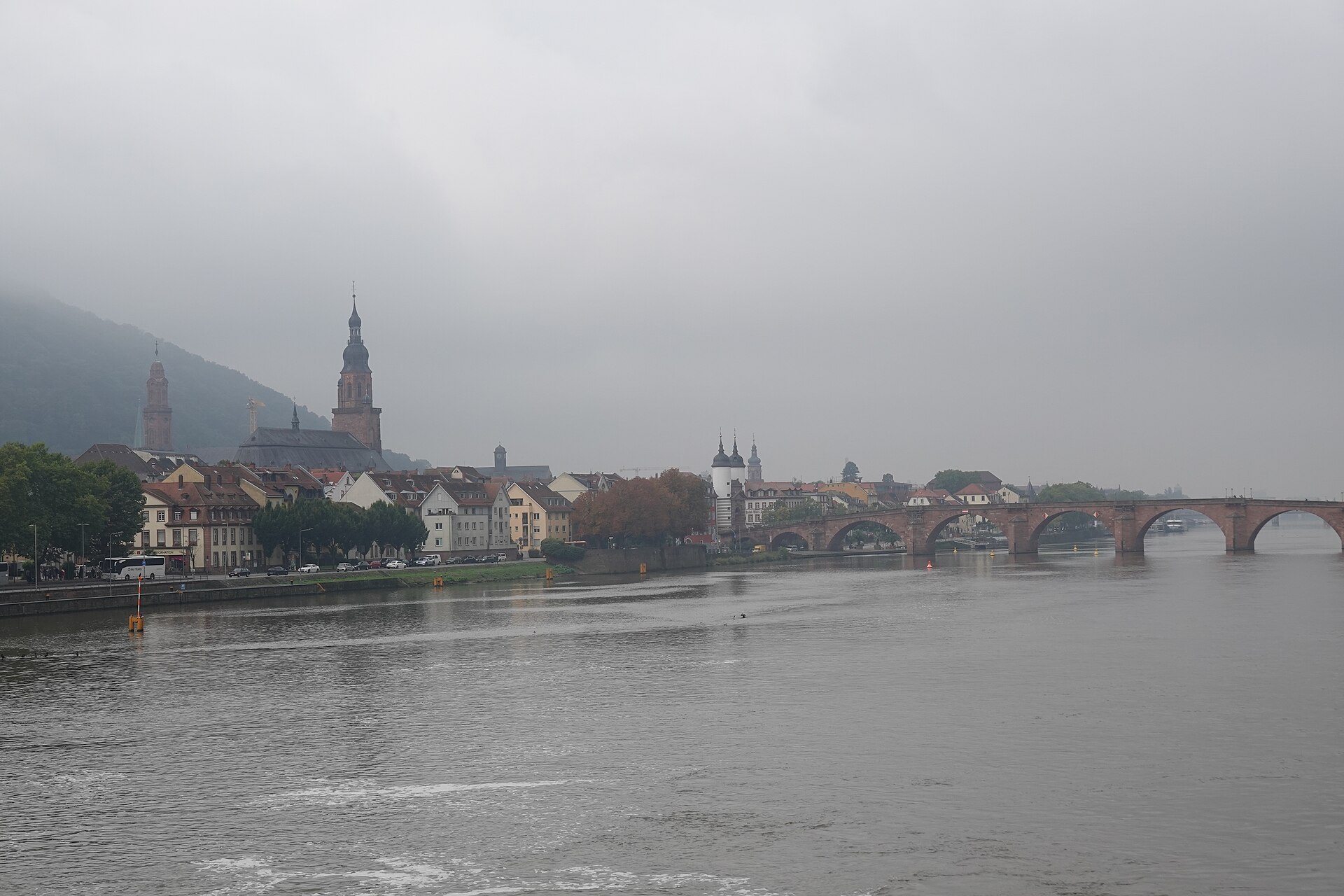 Neckar bei Heidelberg