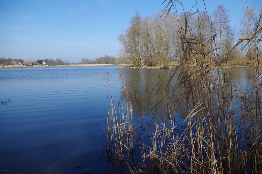 Neuendorfer See (Unterspreewald)