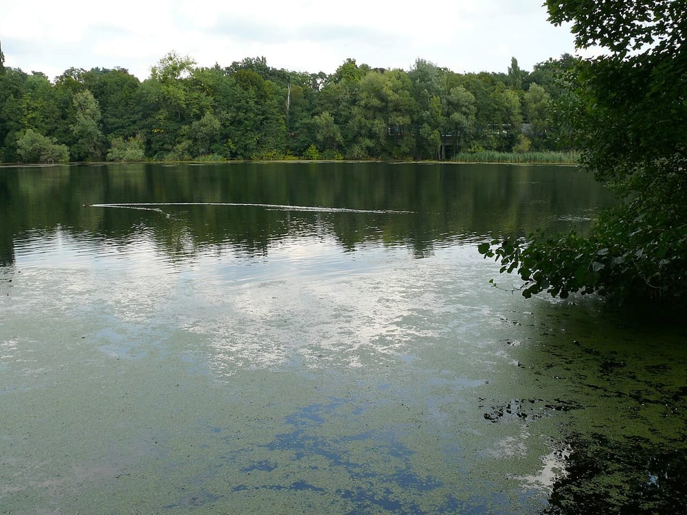 Nikolassee