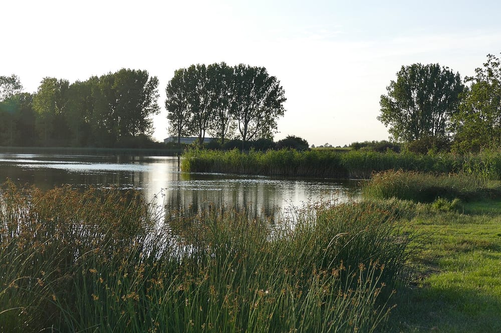 Pelsiner See