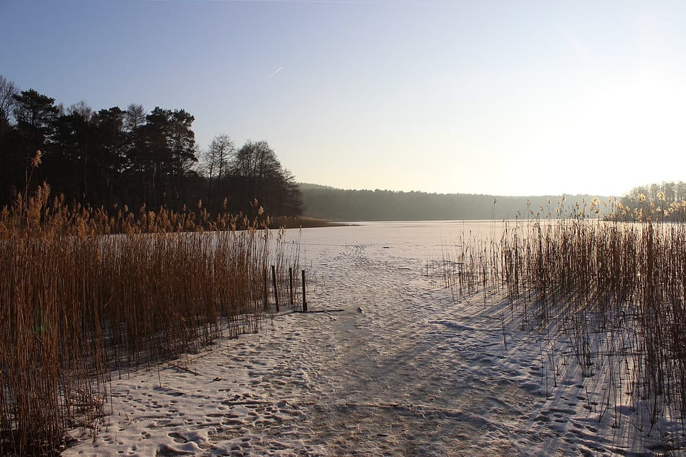 Petersdorfer See