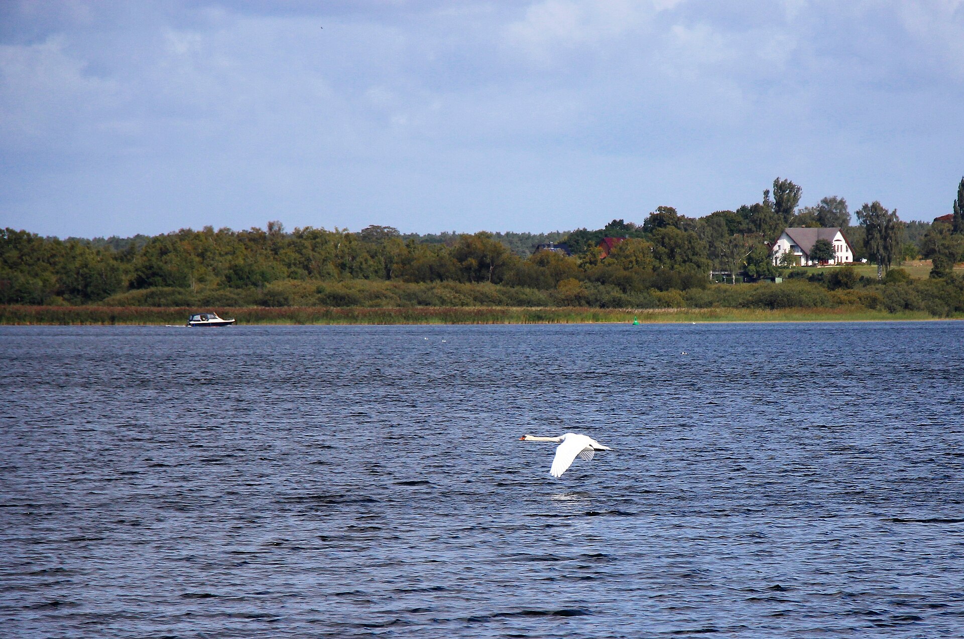 Plauer See