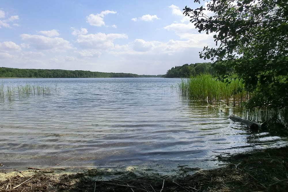 Sacrower See