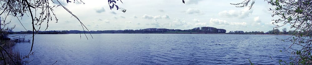 Scharsee
