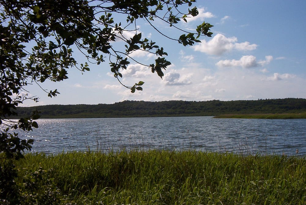 Schmachter See
