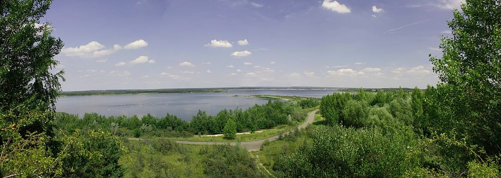 Seelhausener See