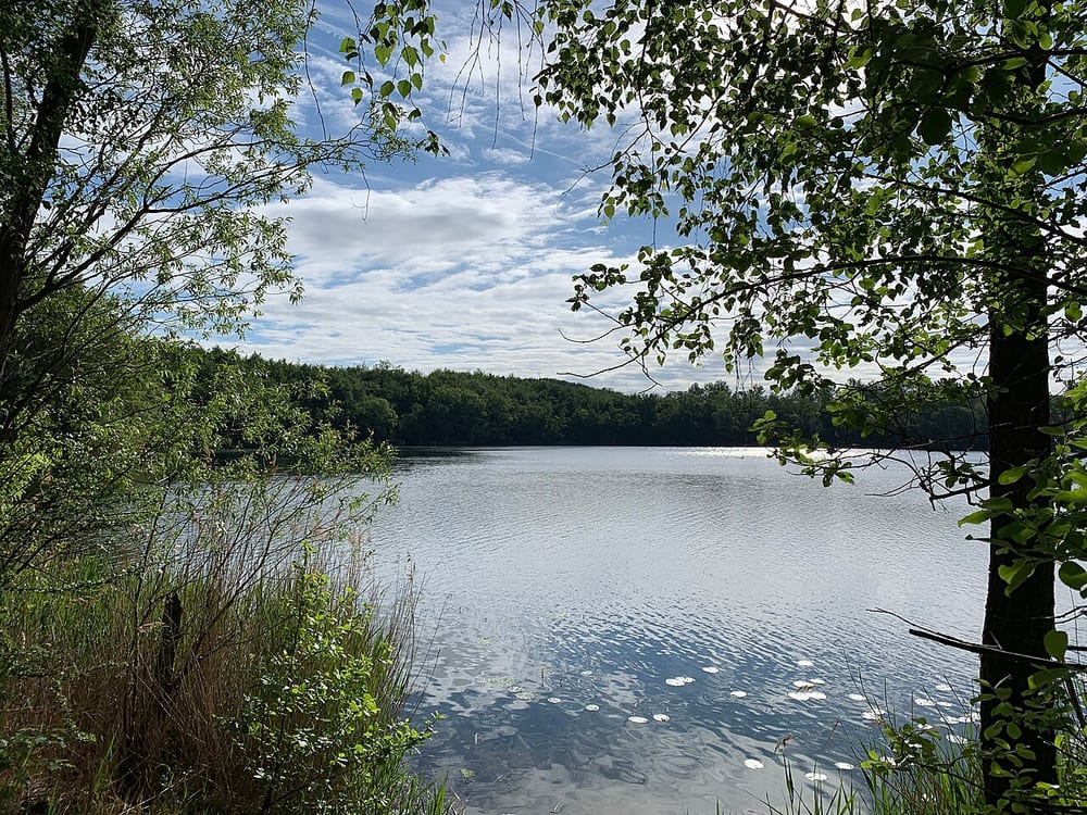 Untersee (Brühl)