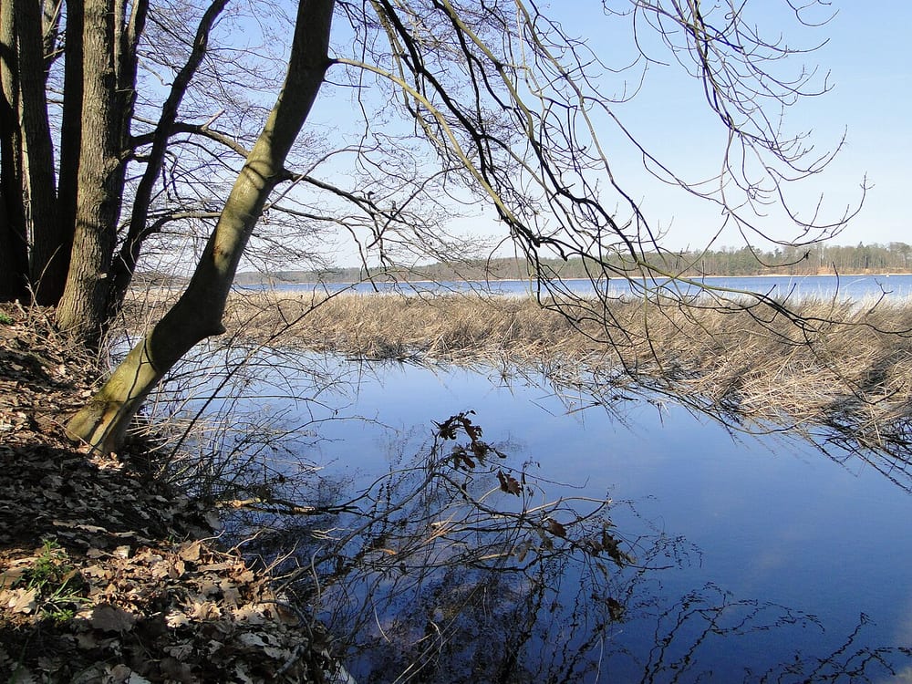 Vilzsee