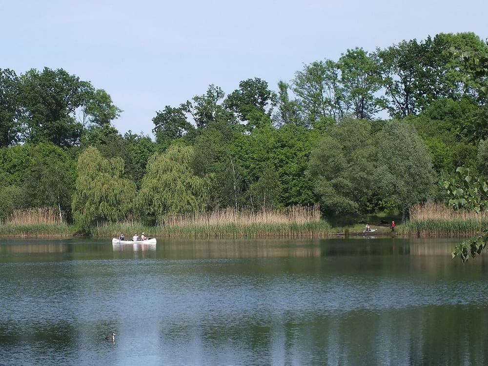 Waldsee Lauer