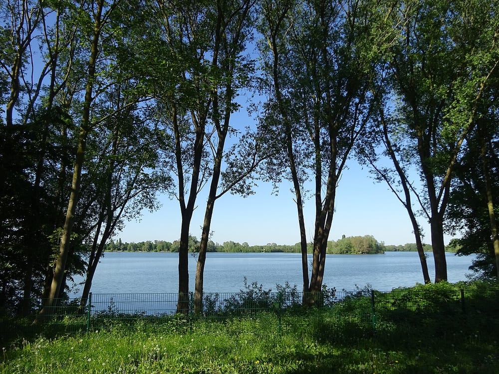 Wisseler See