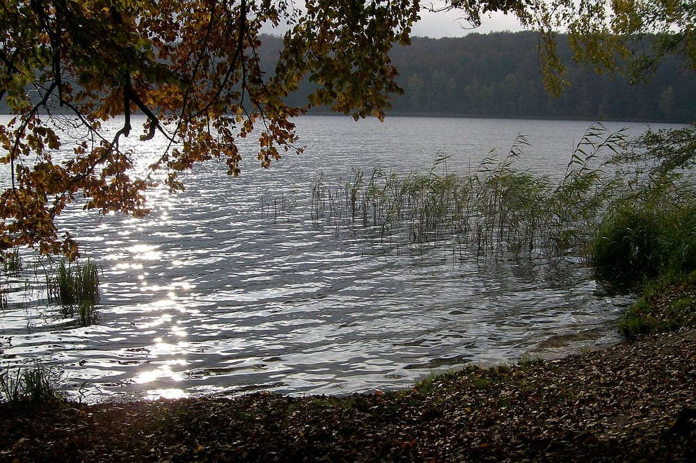 Wolgastsee