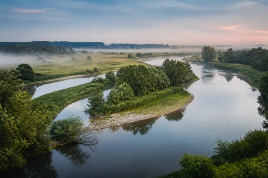 Flusslandschaft mit Nebenarmen und bewaldeten Ufern am Morgen