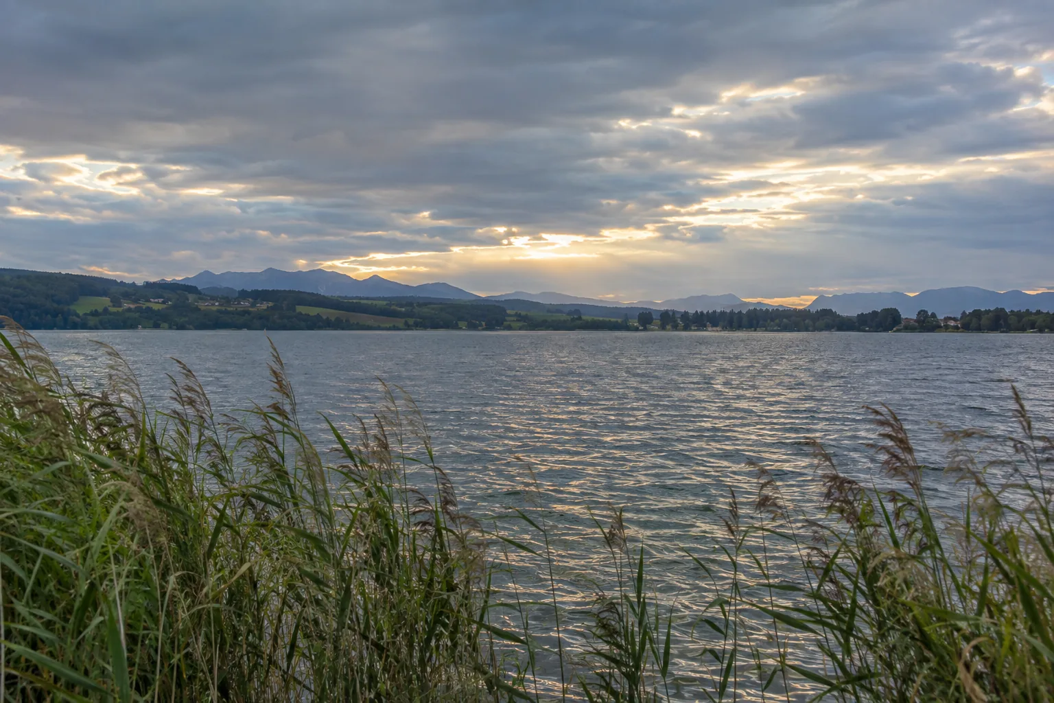 Wolkendecke über einem See mit Schilfgürtel