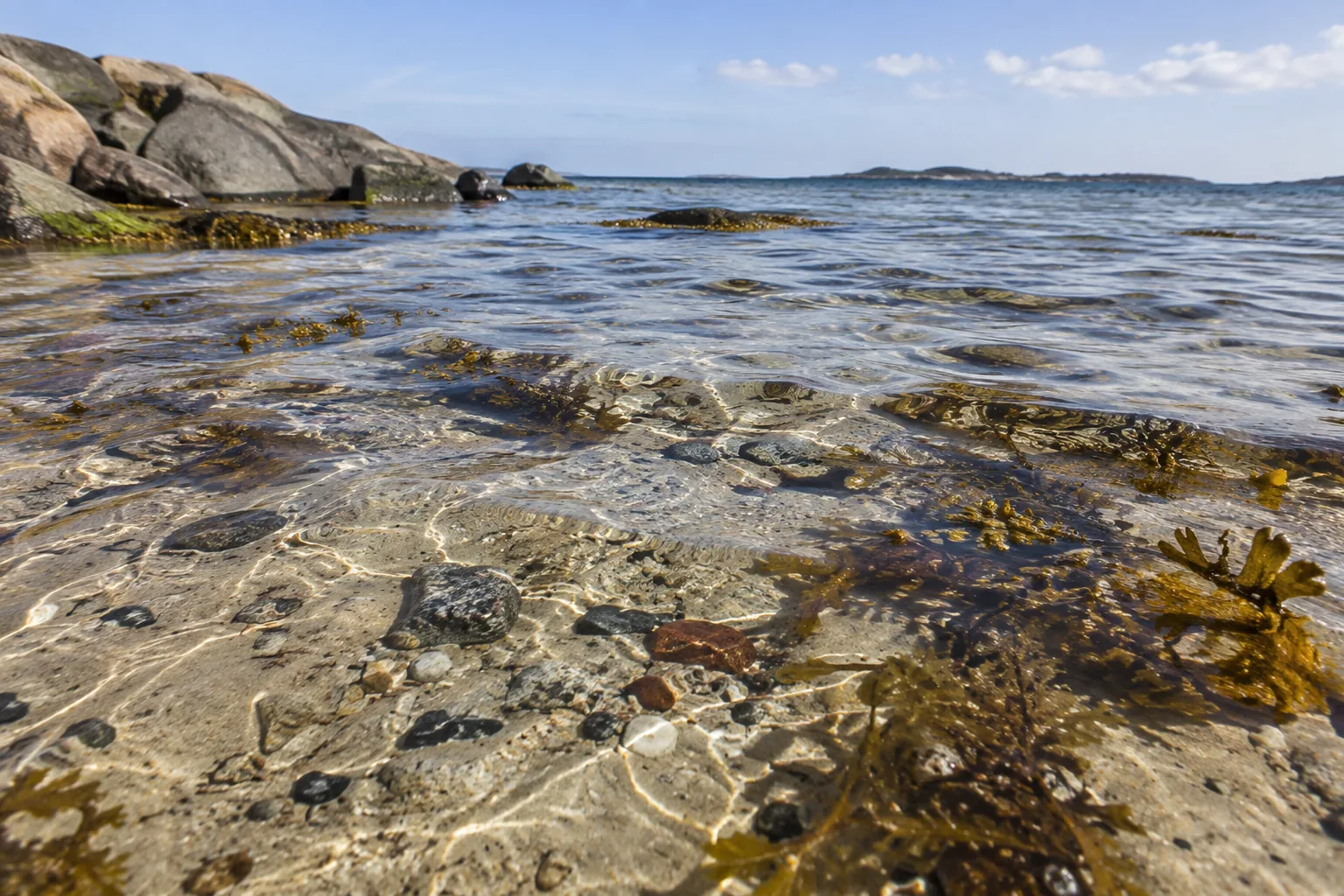 Flaches Ostseewasser über Steinen und Blasentang